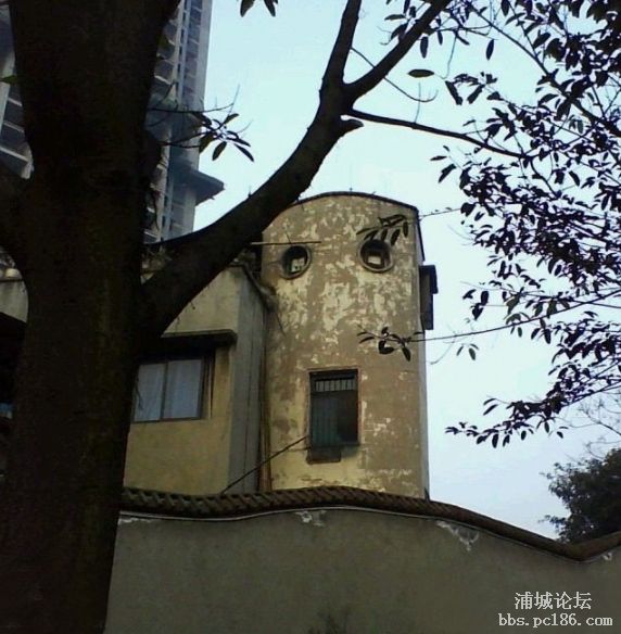Wѱ˵ġ塱Ƿ