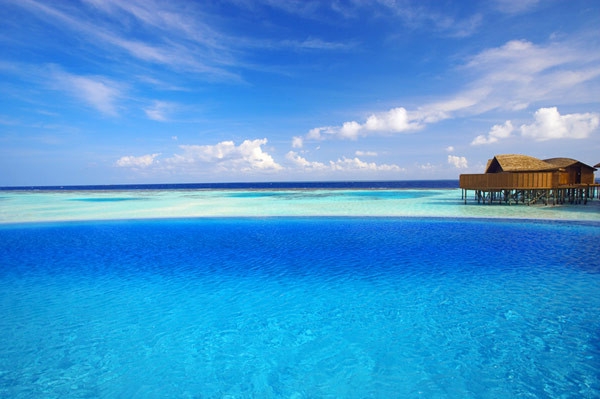 Lilyhotel:Rİٺϻ