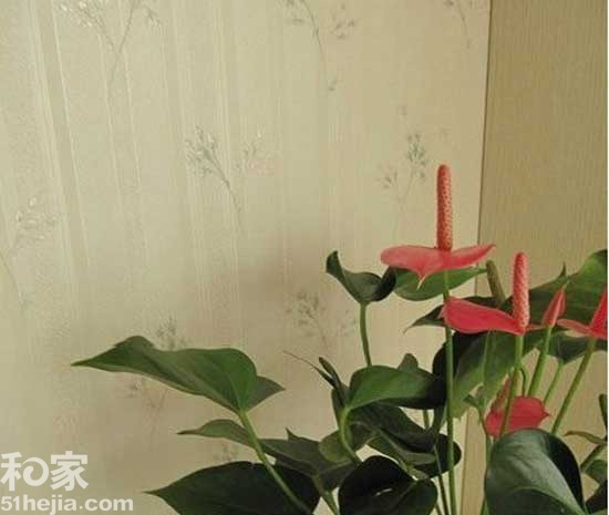 15黨ڼwˬ@L()