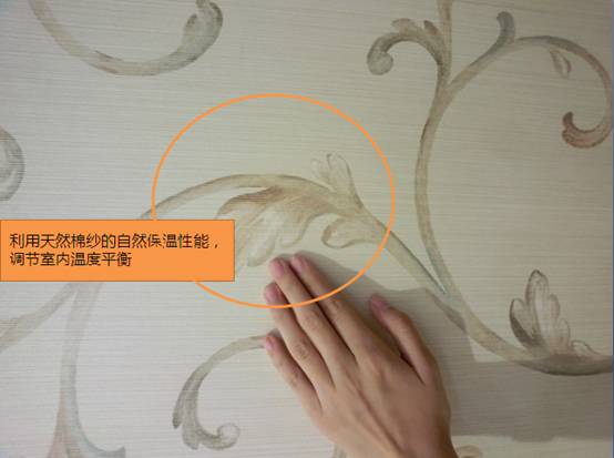 ѵ:R피AL()