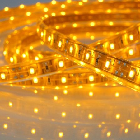 LEDz