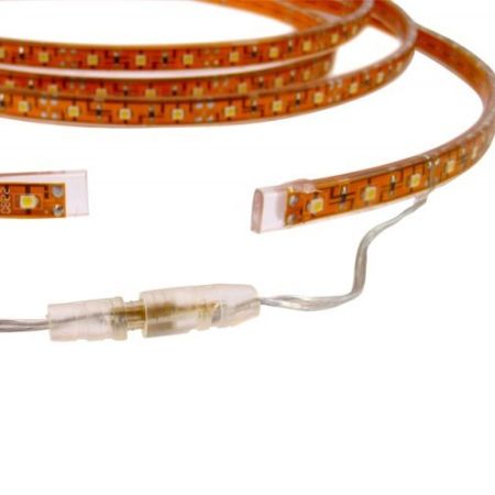 LEDz