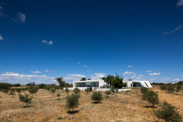 ϙеİɫeTavira