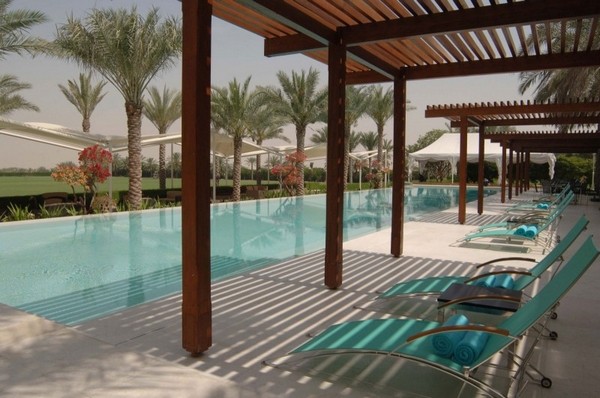 ϰݵALDesertPalmȼٴ