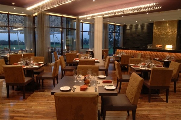 ϰݵALDesertPalmȼٴ
