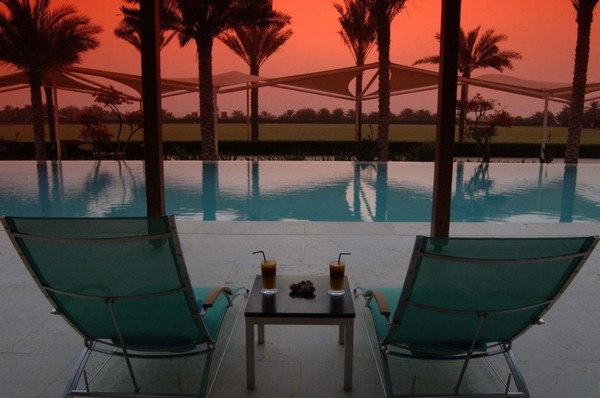 ϰݵALDesertPalmȼٴ
