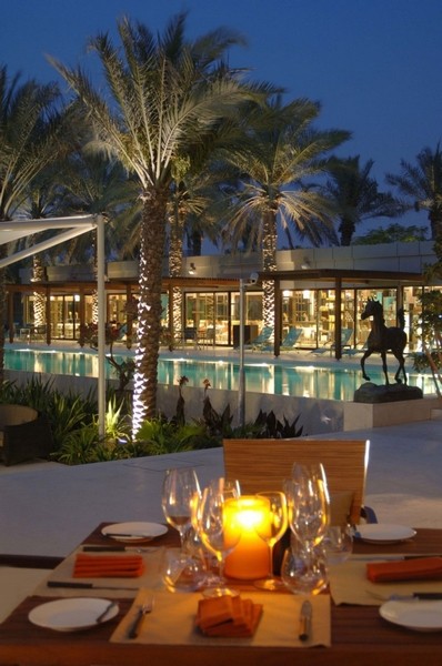 ϰݵALDesertPalmȼٴ