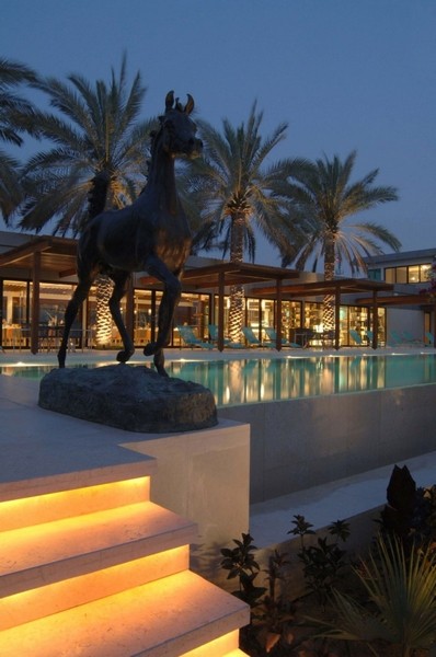 ϰݵALDesertPalmȼٴ
